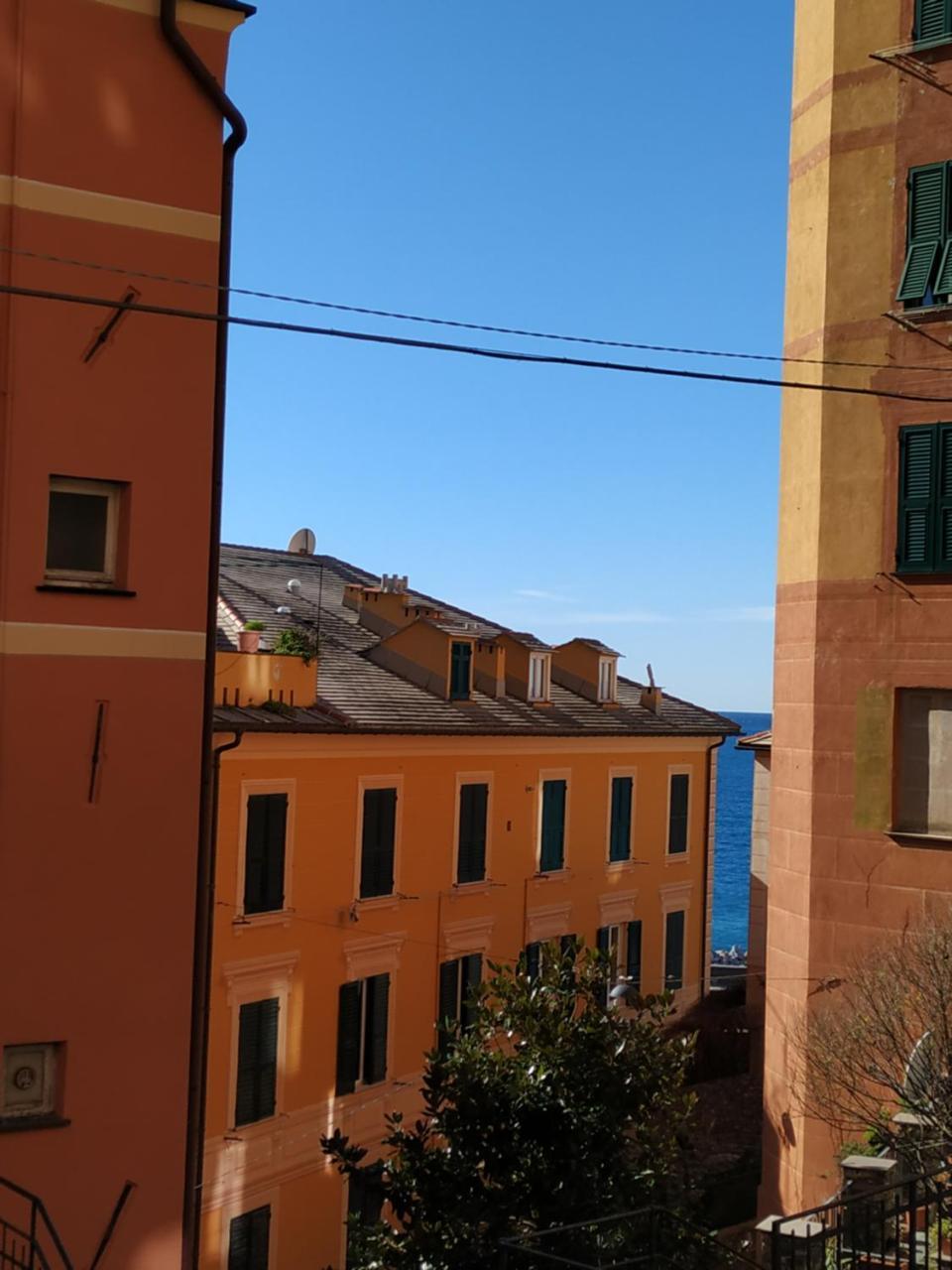 Augusta Albergo B&B Camogli Εξωτερικό φωτογραφία